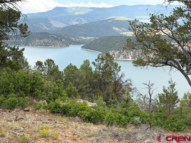 254 Waterview Cove Ridgway, CO 81432 - Photo 11 of 28