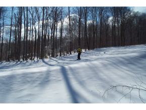 52 A Snow Bridge Road, Unit 52A Stratton, VT 05155 - Photo 5 of 8
