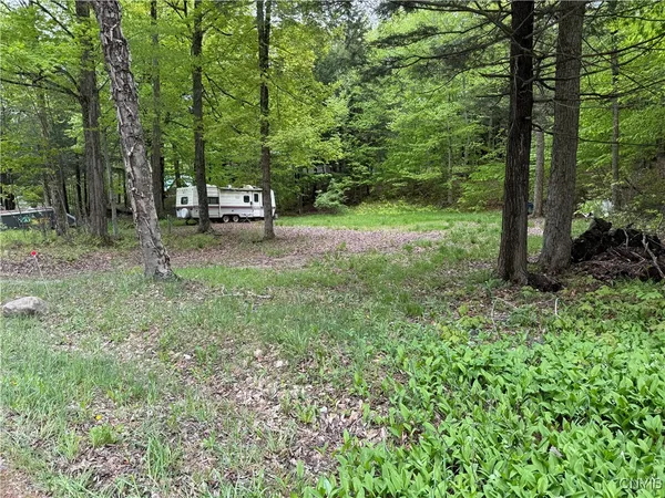 $74,900 | 13020 Ny Rt-28, Forestport, NY 13338