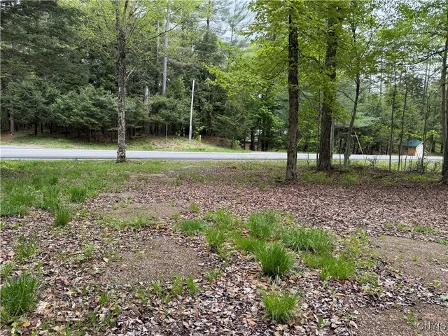 $74,900 | 13020 Ny Rt-28, Forestport, NY 13338