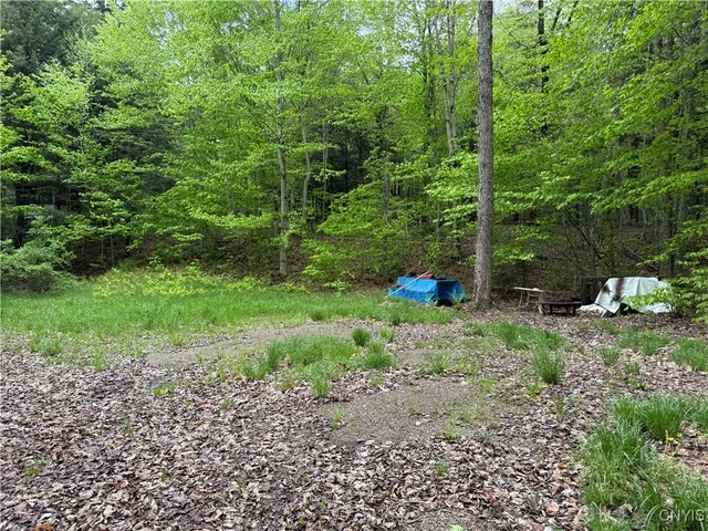 $74,900 | 13020 Ny Rt-28, Forestport, NY 13338