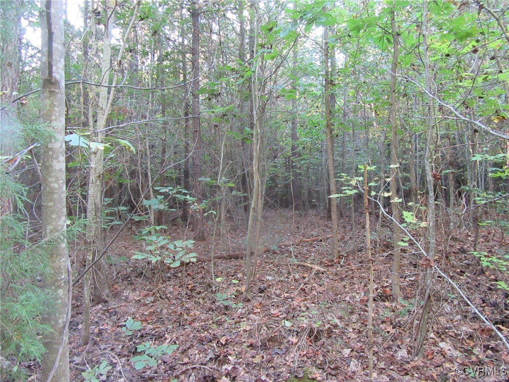 0 White Oak Road Ford, VA 23850 - Photo 1 of 11 Gallery Image 1