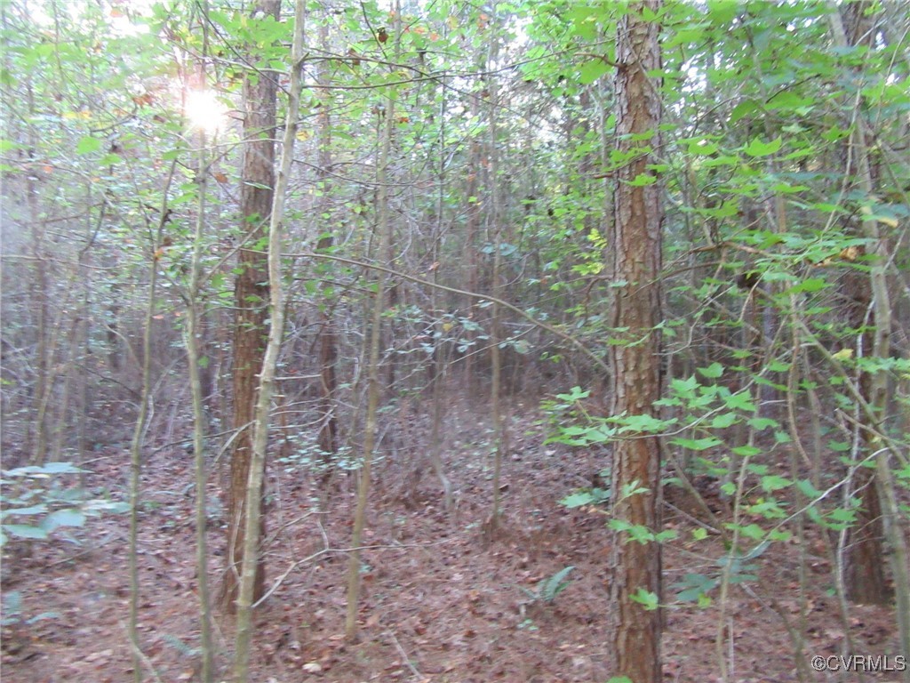 0 White Oak Road Ford, VA 23850 - Photo 11 of 11 Gallery Image 11