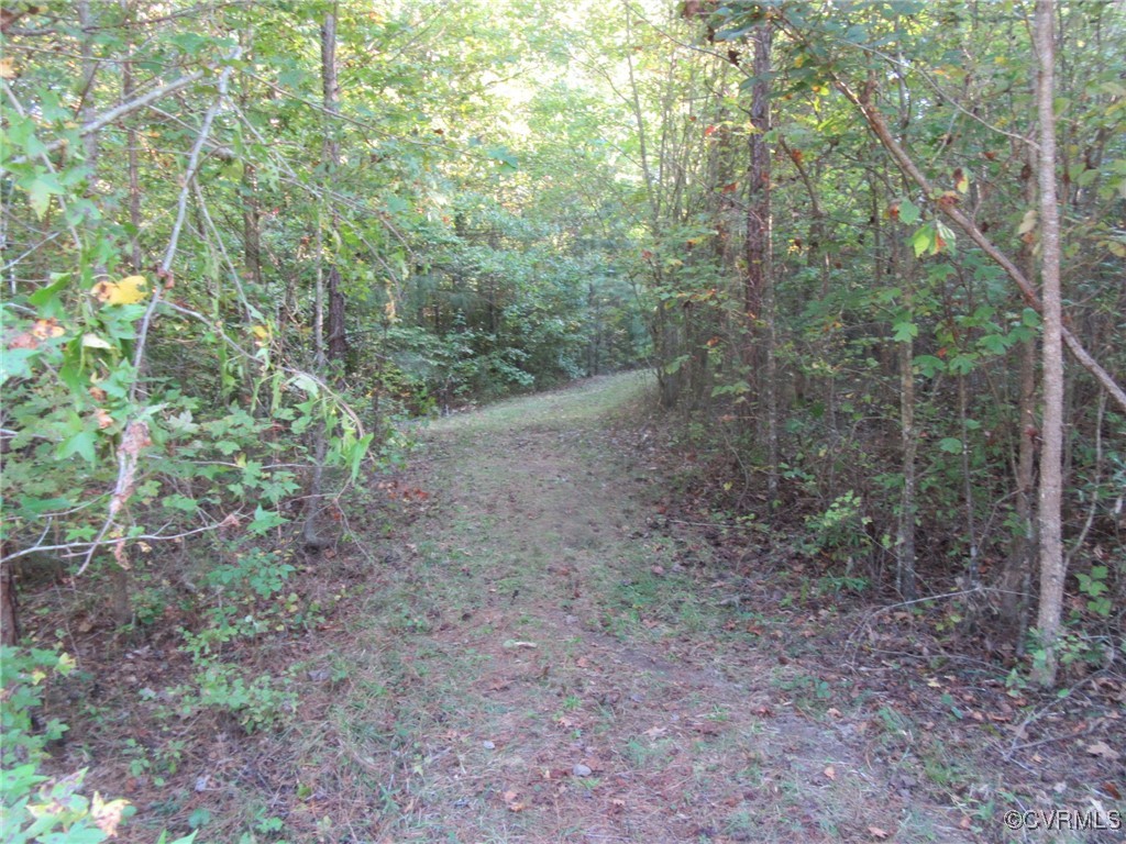 0 White Oak Road Ford, VA 23850 - Photo 5 of 11 Gallery Image 5