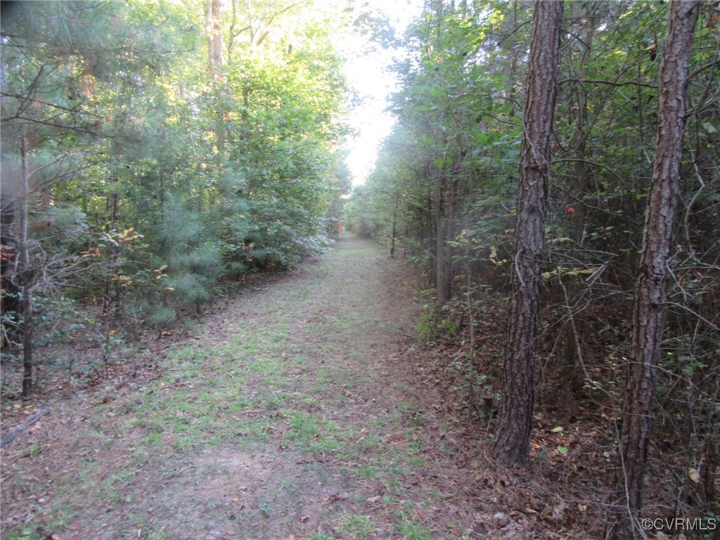 0 White Oak Road Ford, VA 23850 - Photo 6 of 11 Gallery Image 6