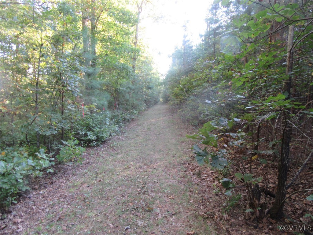 0 White Oak Road Ford, VA 23850 - Photo 10 of 11 Gallery Image 10