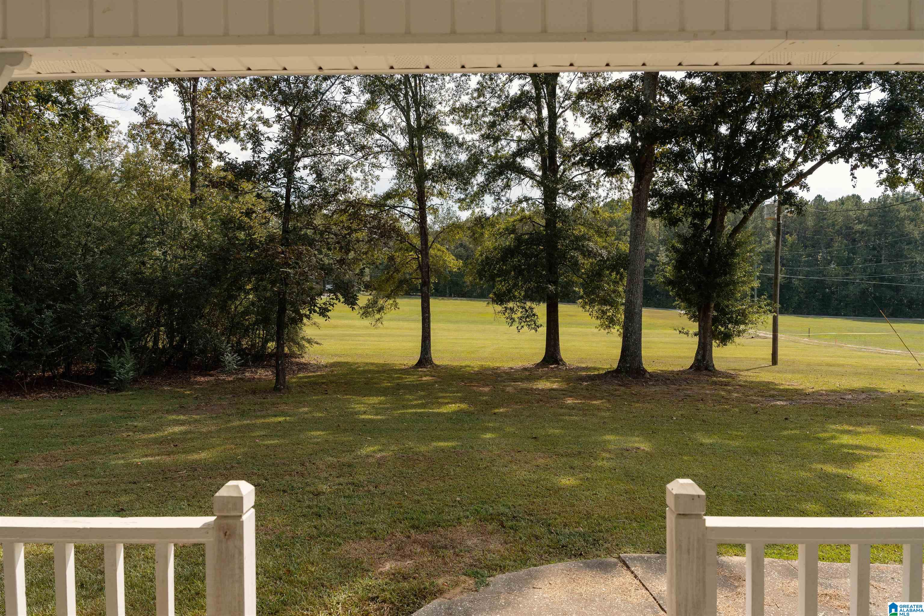 1480 County Line Road West Eastaboga, AL 36260 - Photo 10 of 45