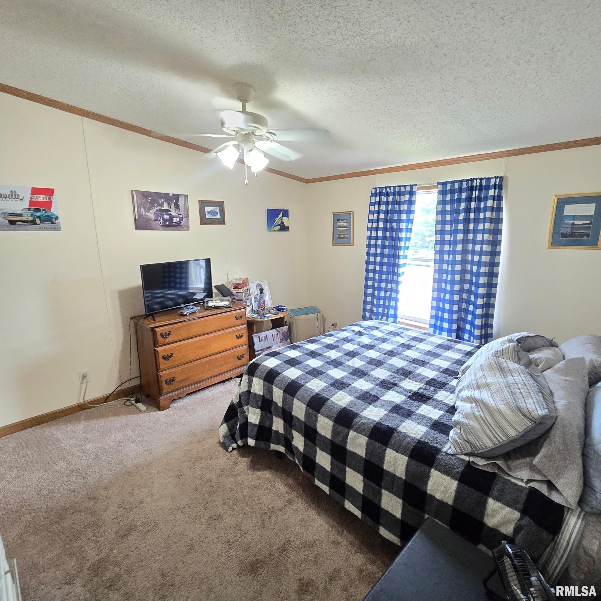 2 Locust Court Goodfield, IL 61742 - Photo 29 of 43