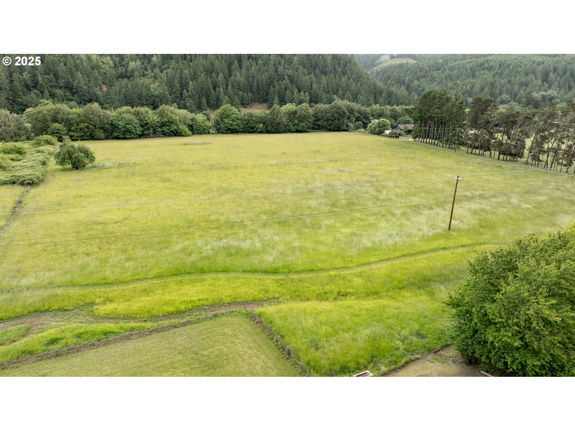 3333 Bullock Road Oakland, OR 97462 - Photo 44 of 48 a black and white photo of a field