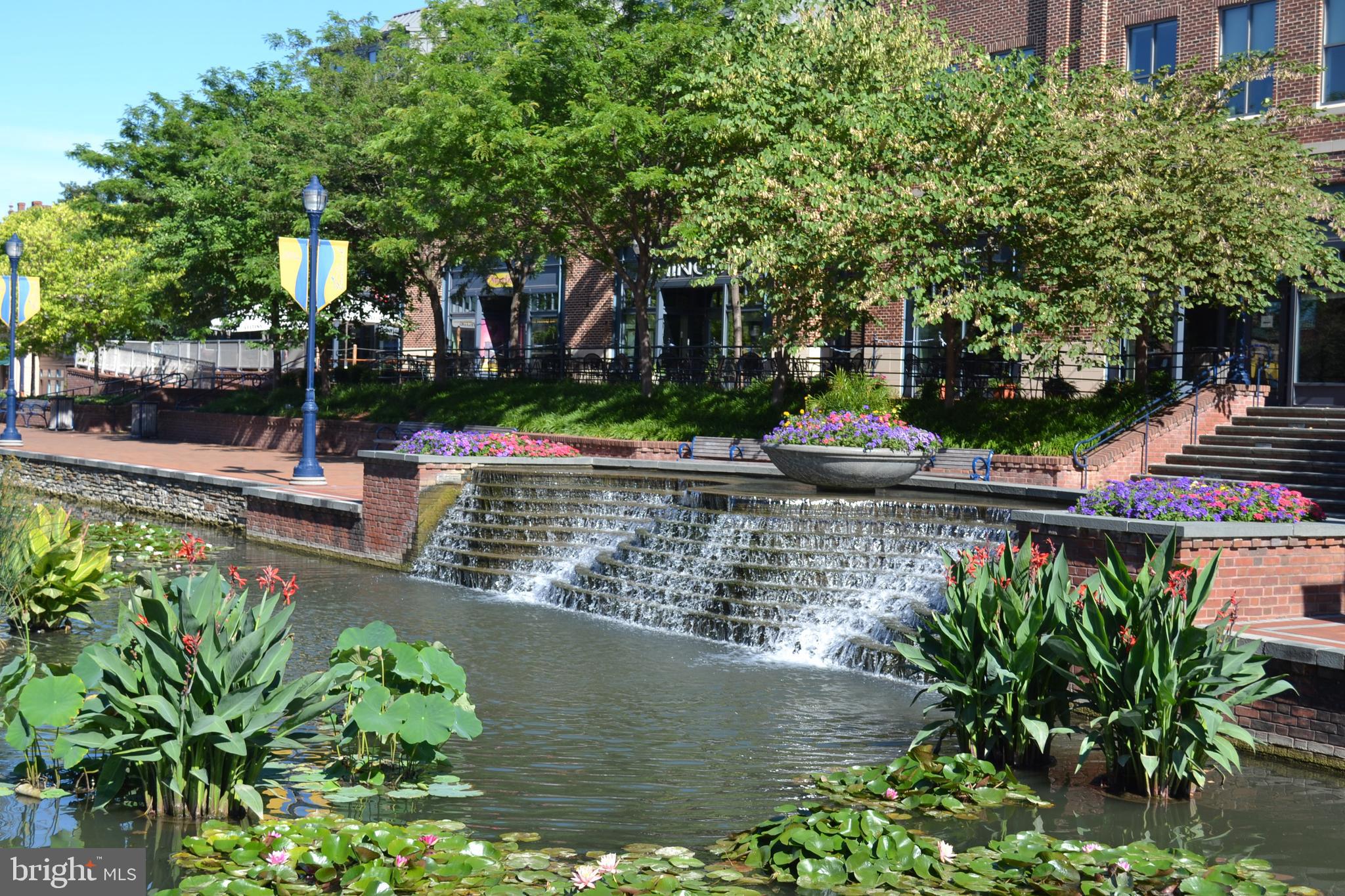 7061 Catalpa Road Frederick, MD 21703 - Photo 31 of 31 And all of it's beauty