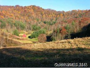 Lot 1 Gambrell Hill Road Clyde, NC 28721 - Photo 9 of 12