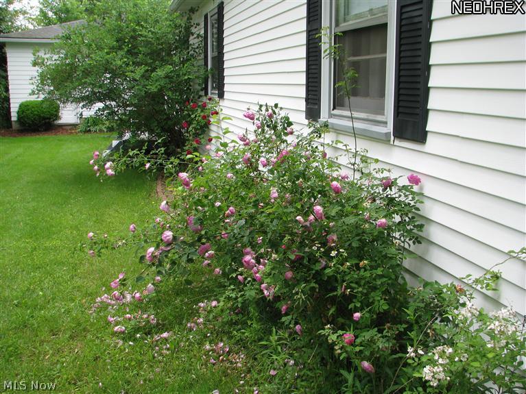 4318 Johnson Road Barberton, OH 44203 - Photo 12 of 17 Gallery Image 12
