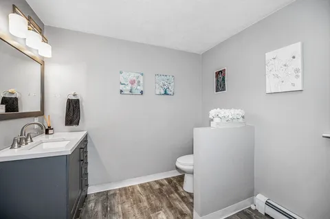 a bathroom with a toilet sink and vanity