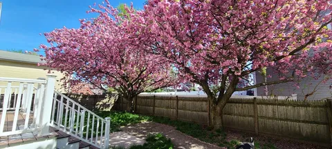 a view of backyard with green space and wooden fence