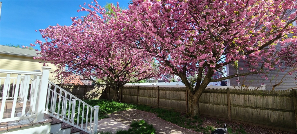 44 Mill Street Revere, MA 02151 - Photo 35 of 36 a view of backyard with green space and wooden fence
