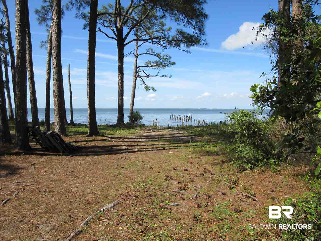 Strong Road Gulf Shores, AL 36542 - Photo 2 of 21