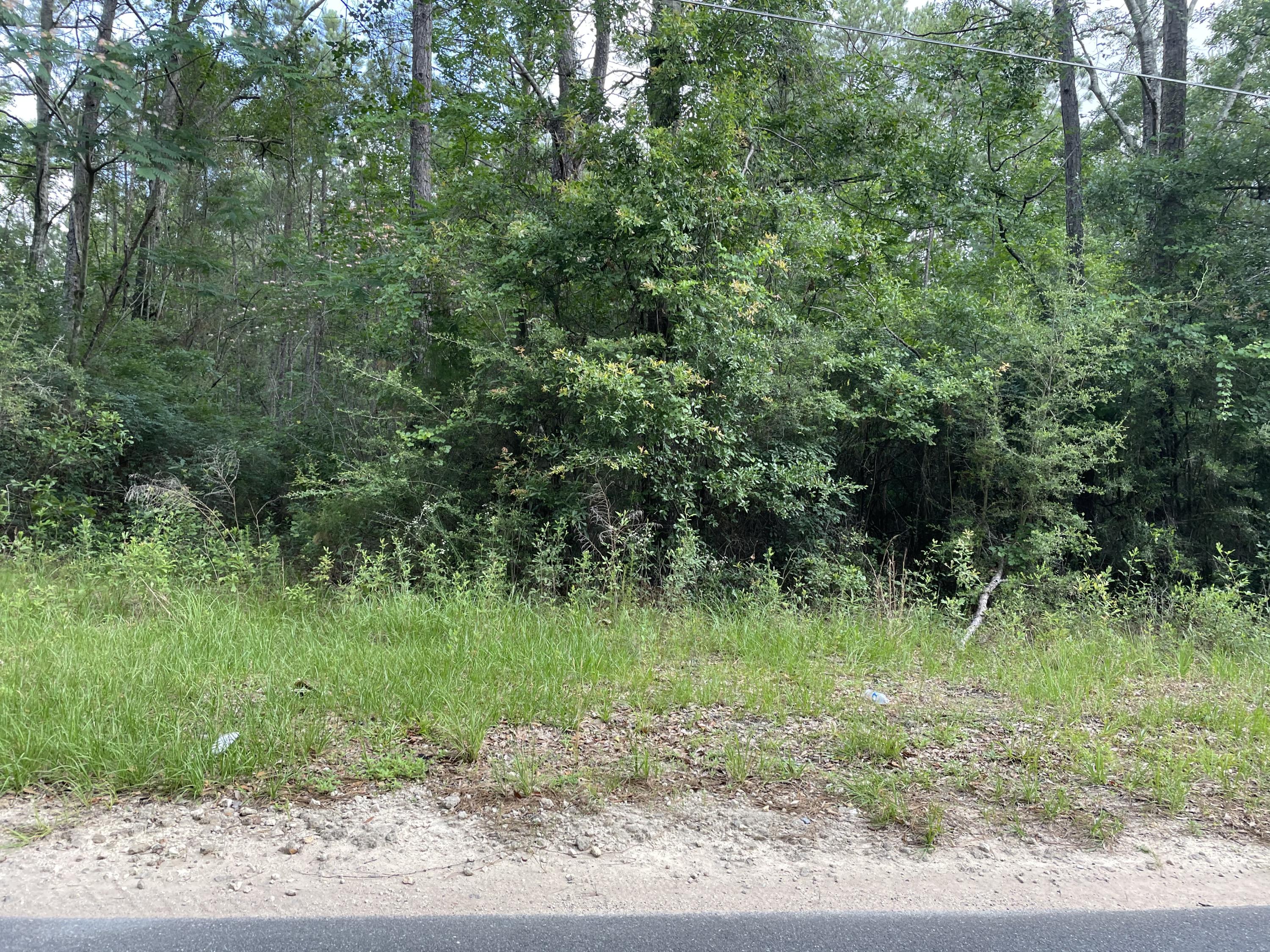 Tbd Lighthouse Church Road Baker, FL 32531 - Photo 1 of 1 a view of a lush green forest