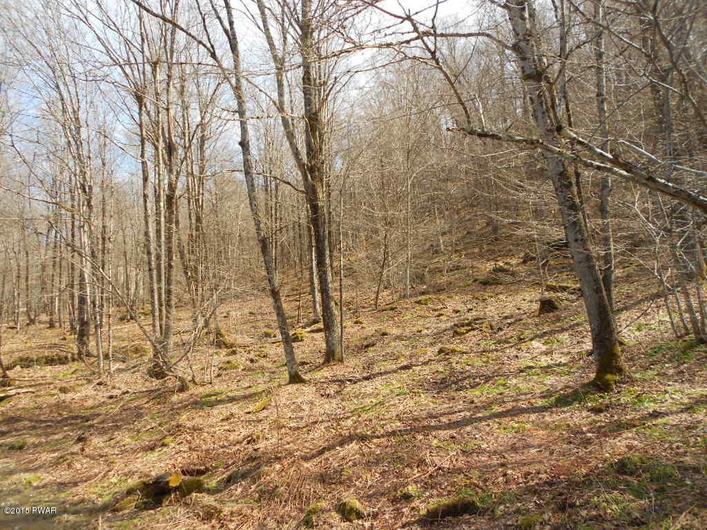 1601 Methol Road Roscoe, NY 12776 - Photo 4 of 4