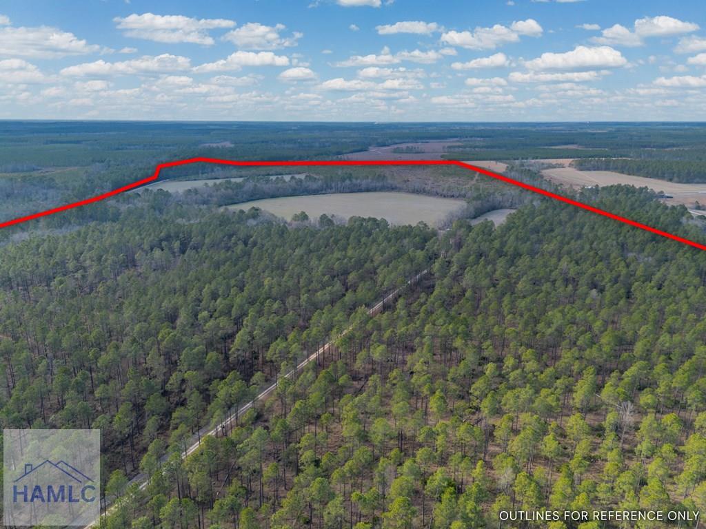 3 Reddish Road Screven, GA 31560 - Photo 5 of 55 Gallery Image 5