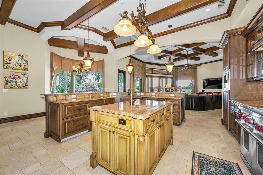 10031 Milano Drive Trinity, FL 34655 - Photo 21 of 100