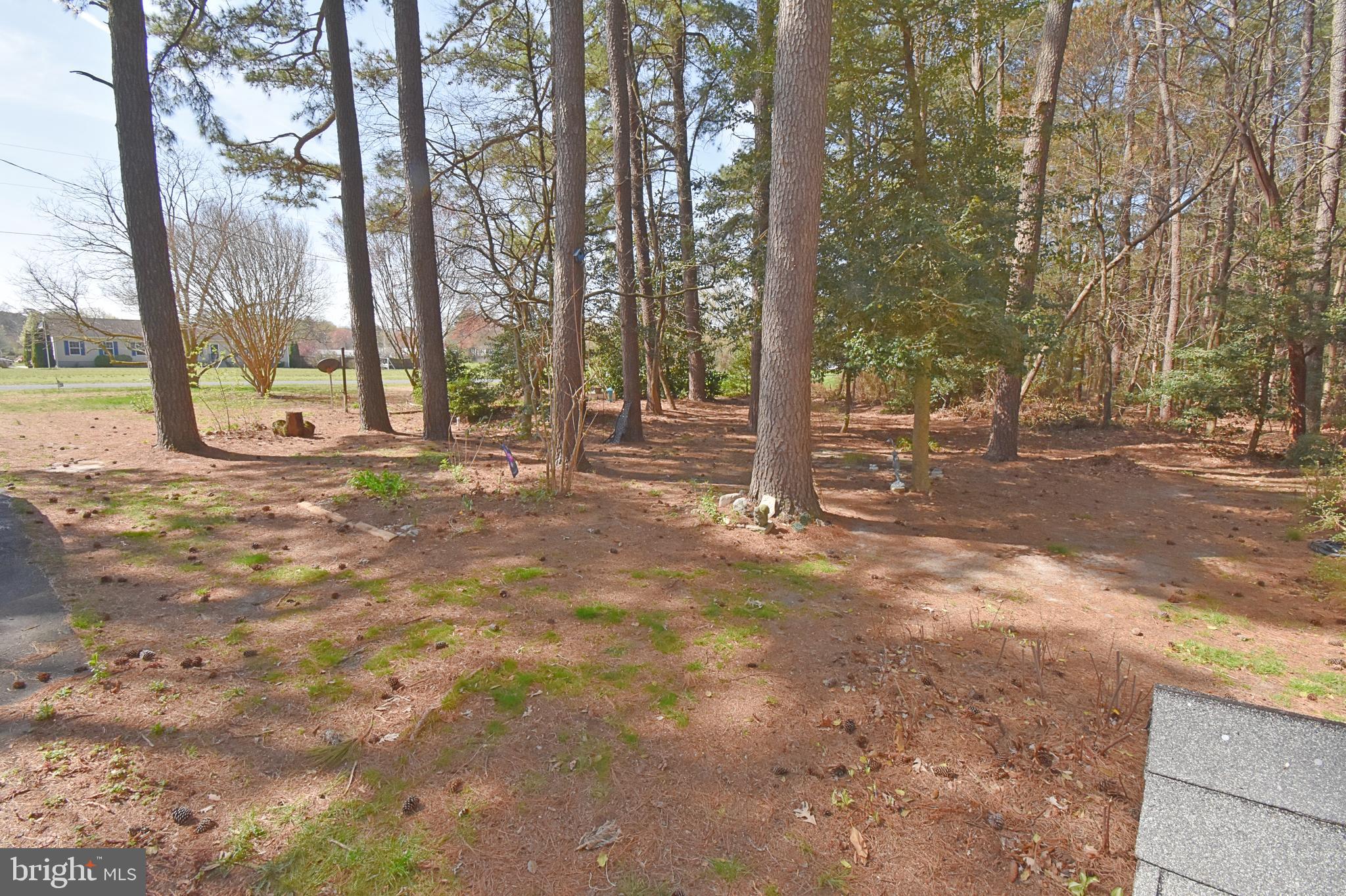 31540 Melson Road Delmar, MD 21875 - Photo 39 of 52