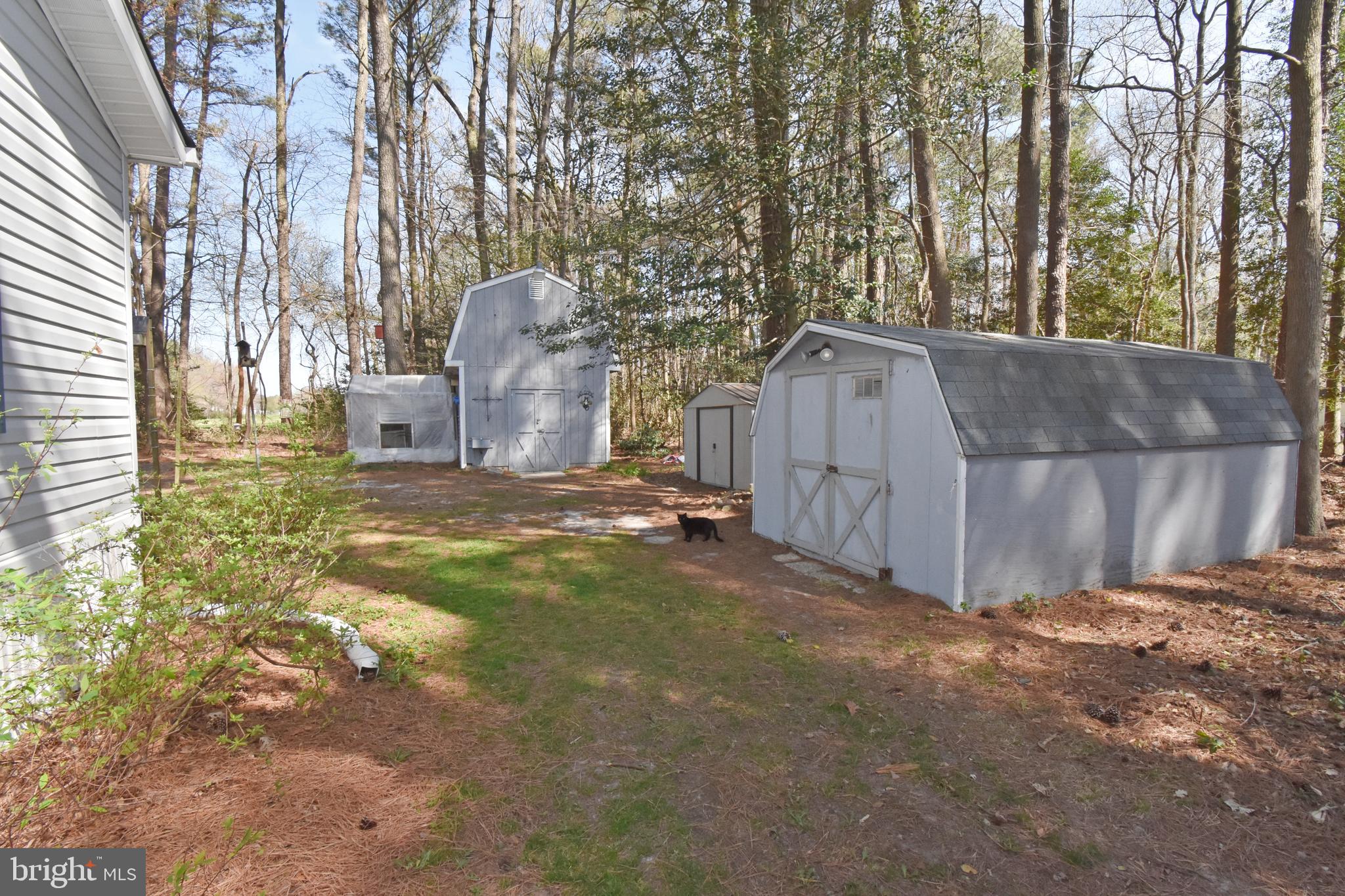 31540 Melson Road Delmar, MD 21875 - Photo 42 of 52