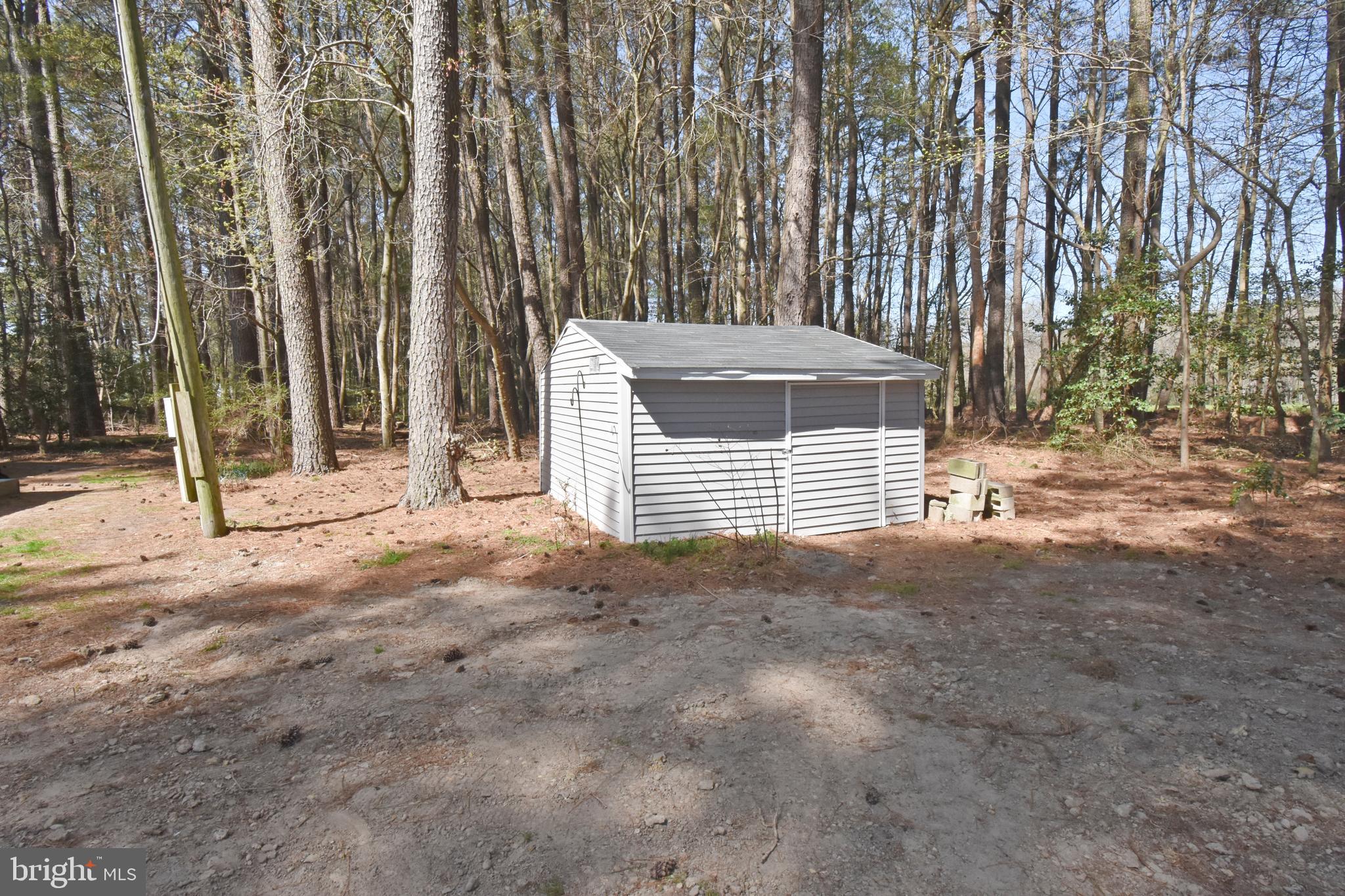 31540 Melson Road Delmar, MD 21875 - Photo 46 of 52