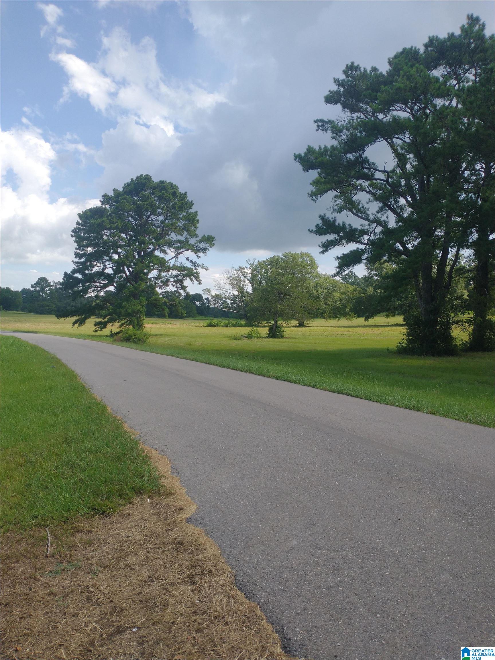 3150 Easonville Road, Unit 16 5 Pell City, AL 35128 - Photo 4 of 8