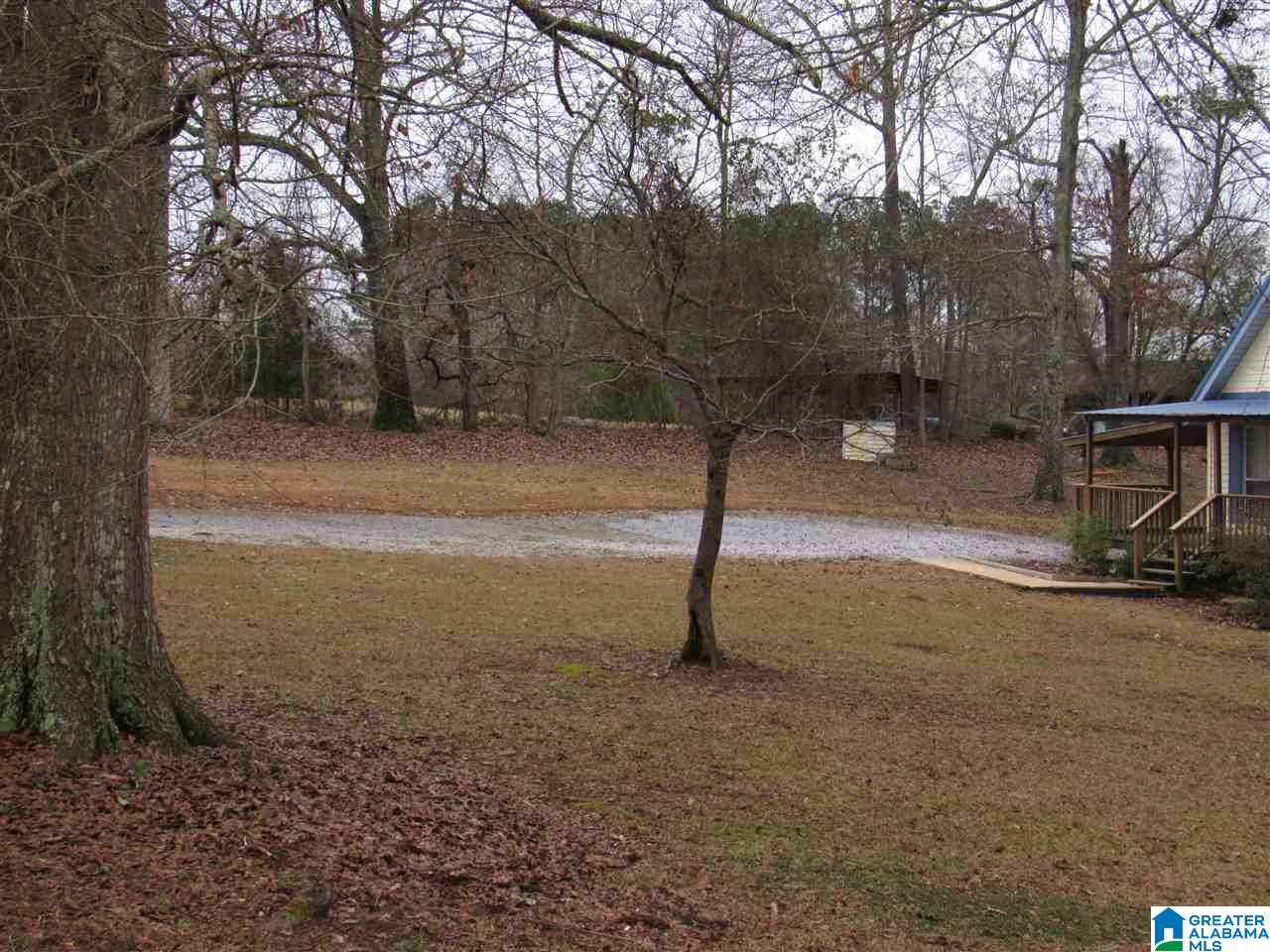 190 County Road 484 Clanton, AL 35046 - Photo 9 of 45