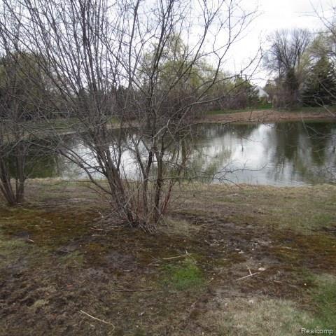 29463 Meadow Ridge South Farmington Hills, MI 48334 - Photo 9 of 33