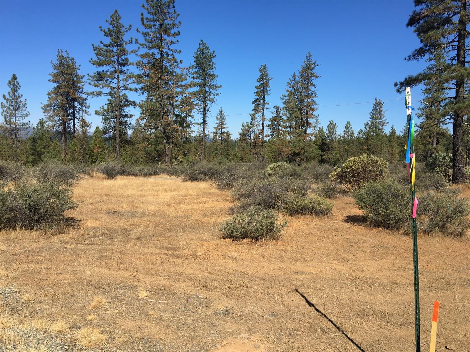 4481 Waldo Road Cave Junction, OR 97523 - Photo 11 of 13 Additional Photo