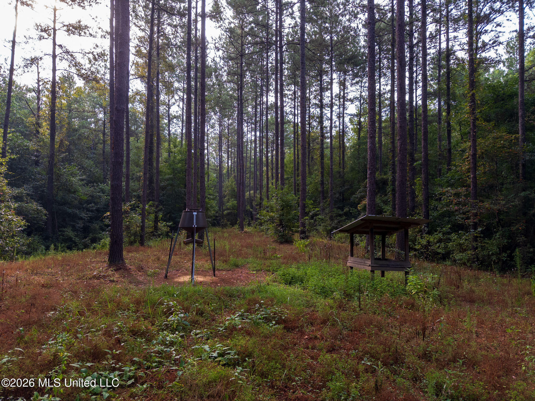 Lowe Road Lumberton, MS 39455 - Photo 17 of 18 80-Lamar-Arthur-Lowe-Rd-116