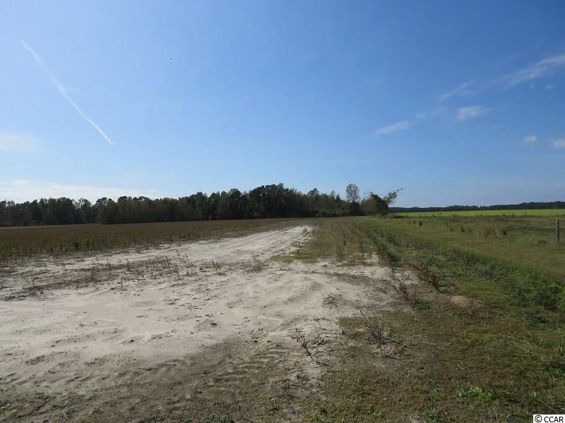 952 Rough And Ready Road Whiteville, NC 28472 - Photo 14 of 14 Gallery Image 14