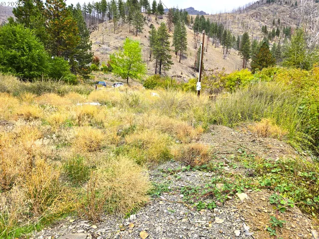 a bathroom with a sink and a shower curtain