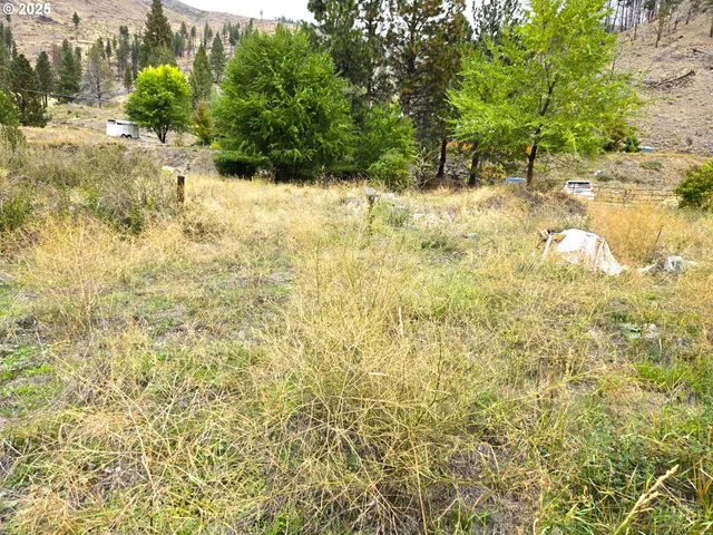 a view of swimming pool from a lake view