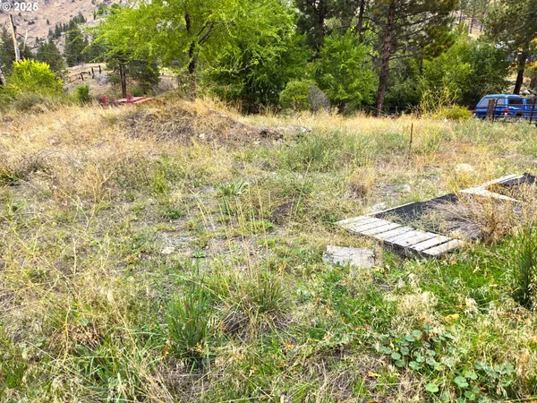 a view of yard