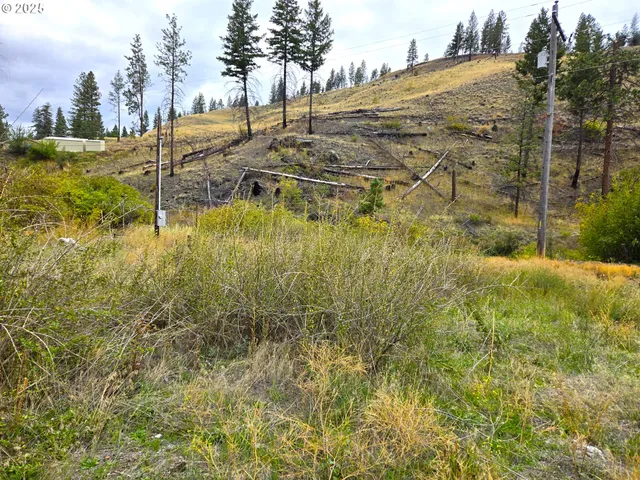 a view of an outdoor space and a yard
