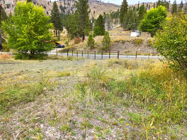 a view of a yard with large trees