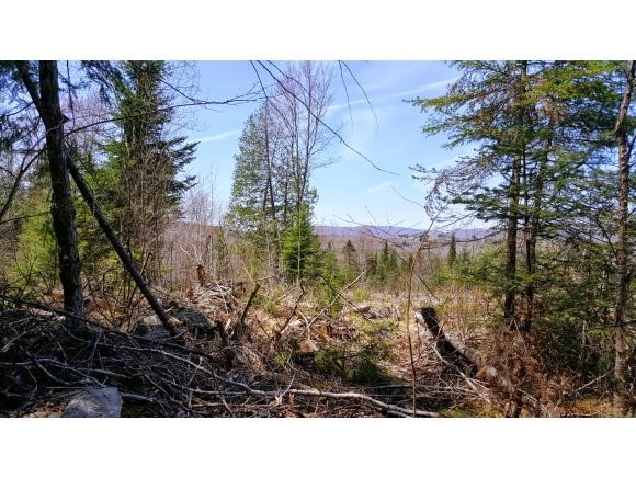 0 Littleton Road Whitefield, NH 03598 - Photo 7 of 19 Gallery Image 7