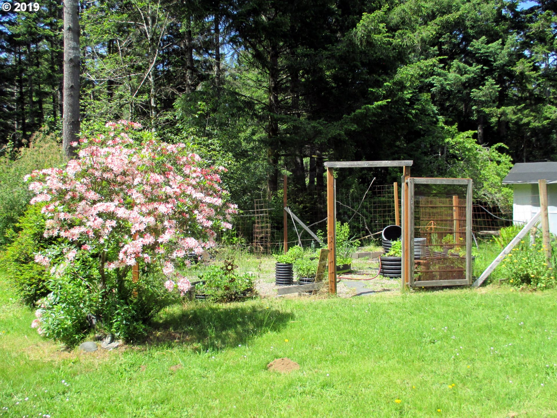 54617 Geiger Creek Road Bandon, OR 97411 - Photo 14 of 32 Gallery Image 14