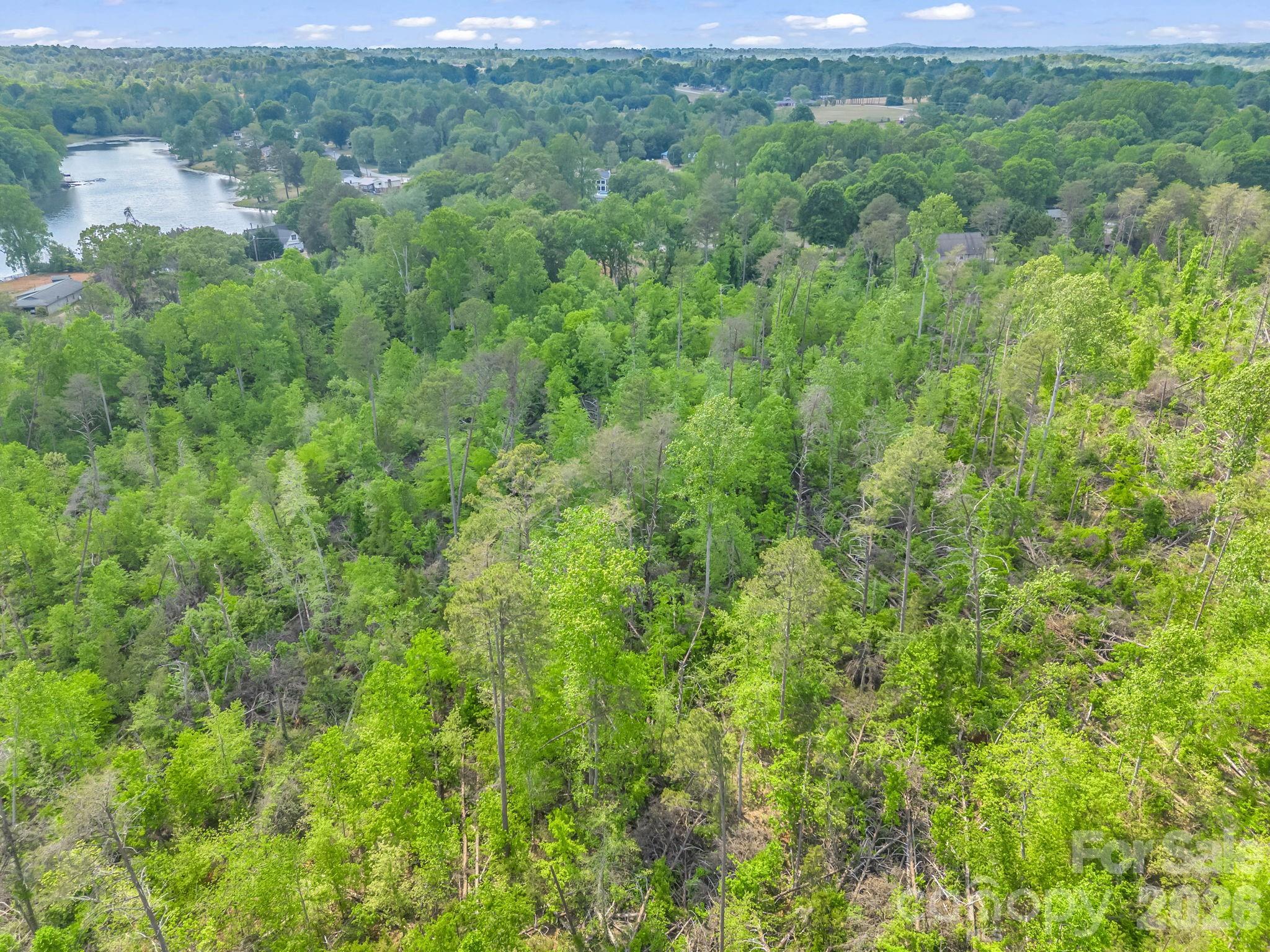 0 Smith Grove Road Forest City, NC 28043 - Photo 14 of 19
