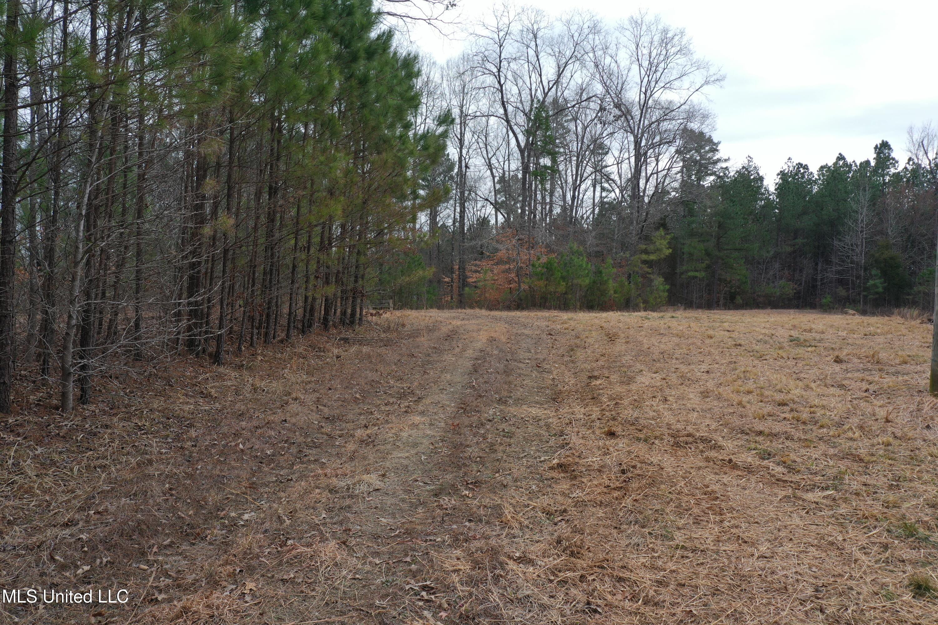 5768 Liberty Road Ashland, MS 38603 - Photo 8 of 15 DJI_0546