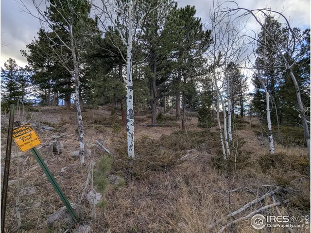 a view of a yard with swimming pool