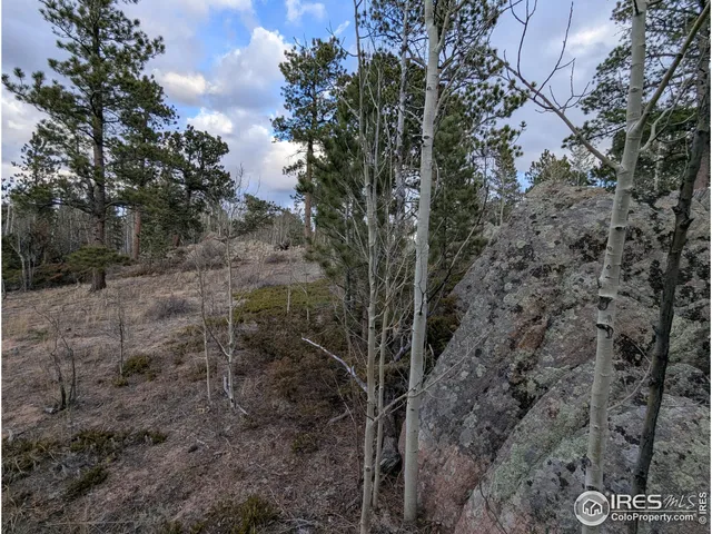 a view of a yard with large trees