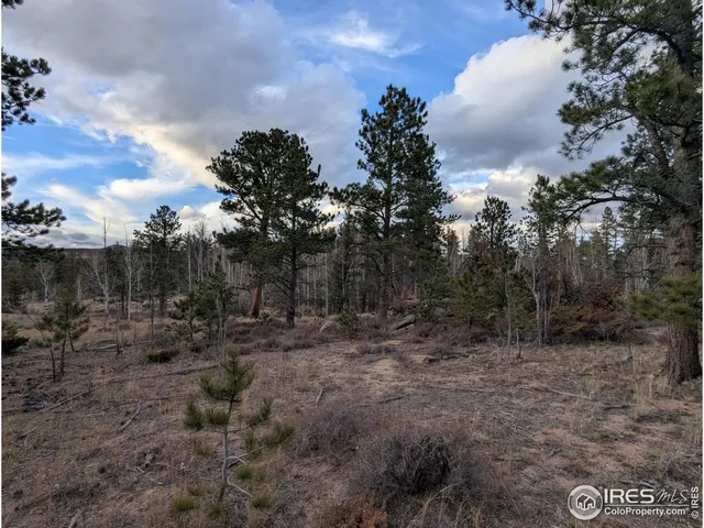 a view of a yard with trees