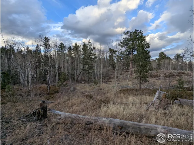 a view of a yard with large trees