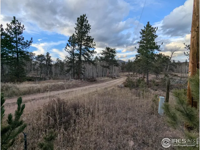 a view of a dry yard with trees