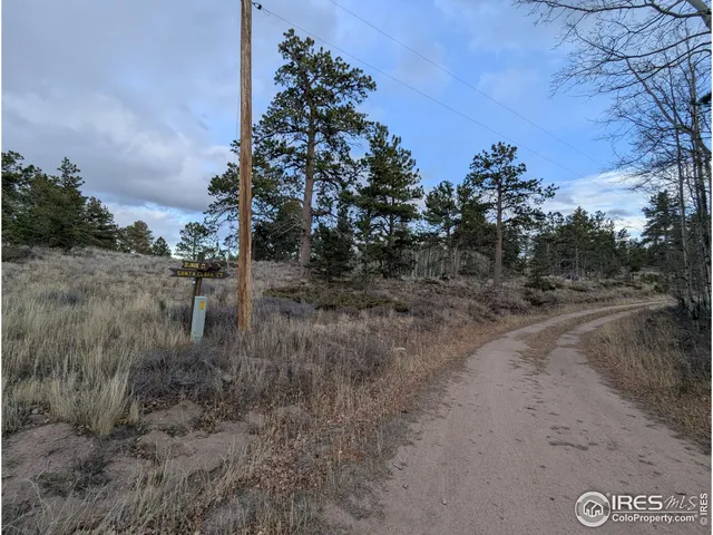 a view of a dry yard with trees