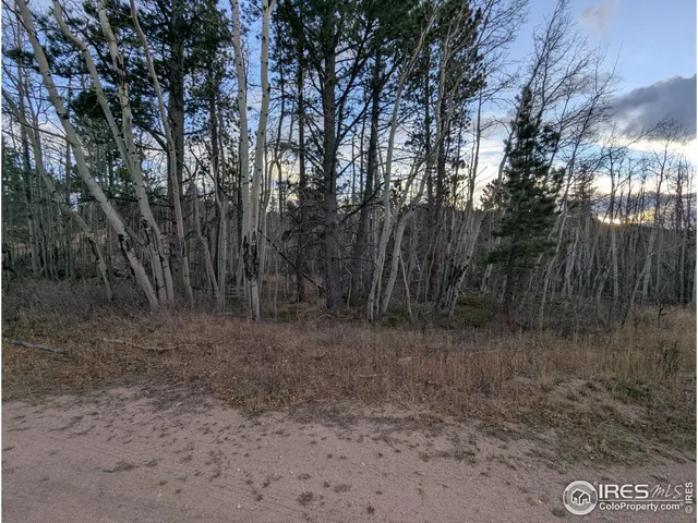 a view of a dry yard with trees