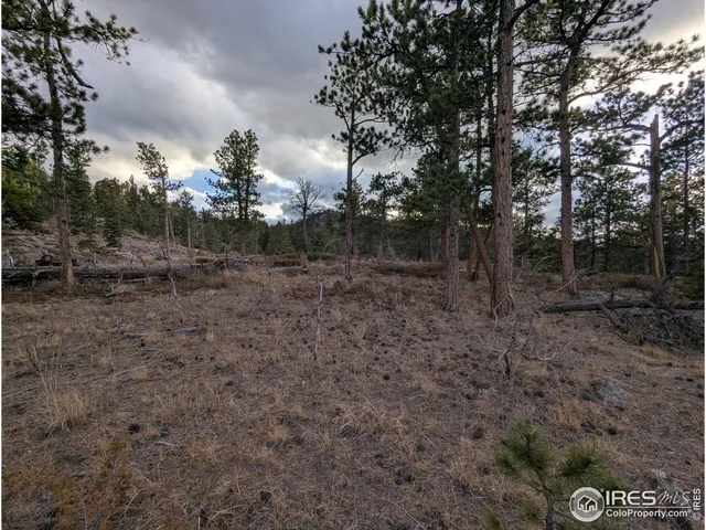 a view of outdoor space with trees